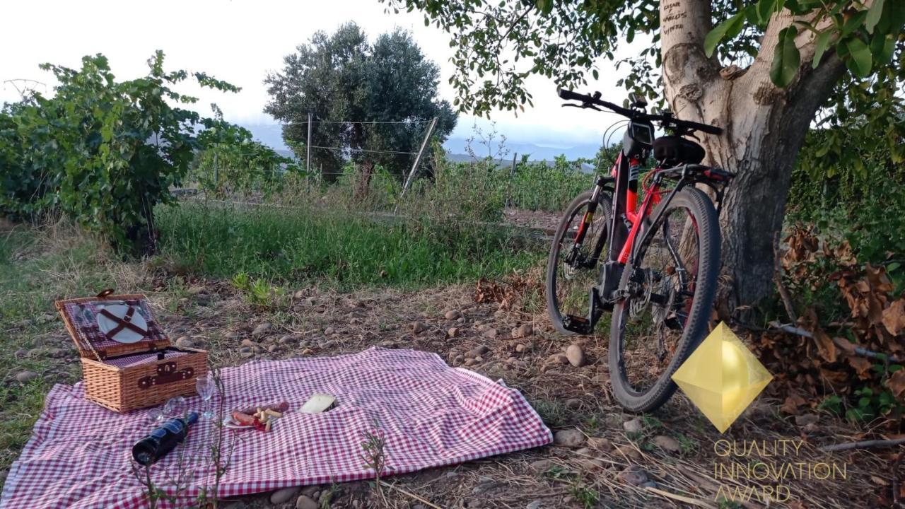 Pension Ubeda Fuenmayor Dış mekan fotoğraf